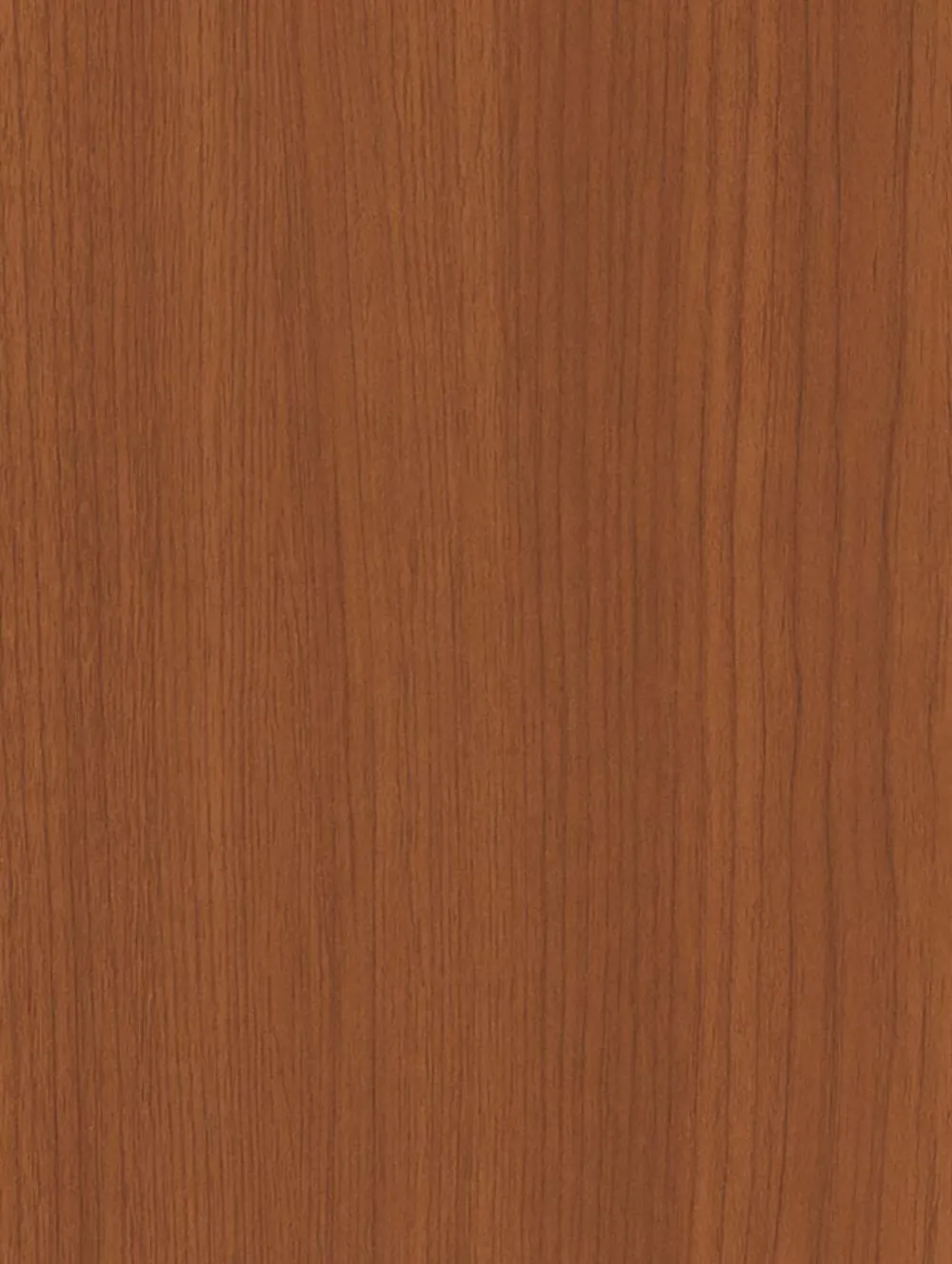 Andean Walnut