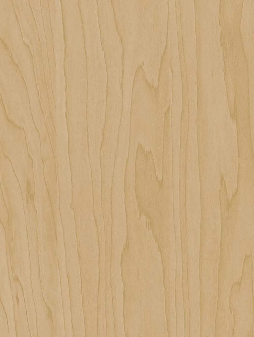 Gold Beige Birch