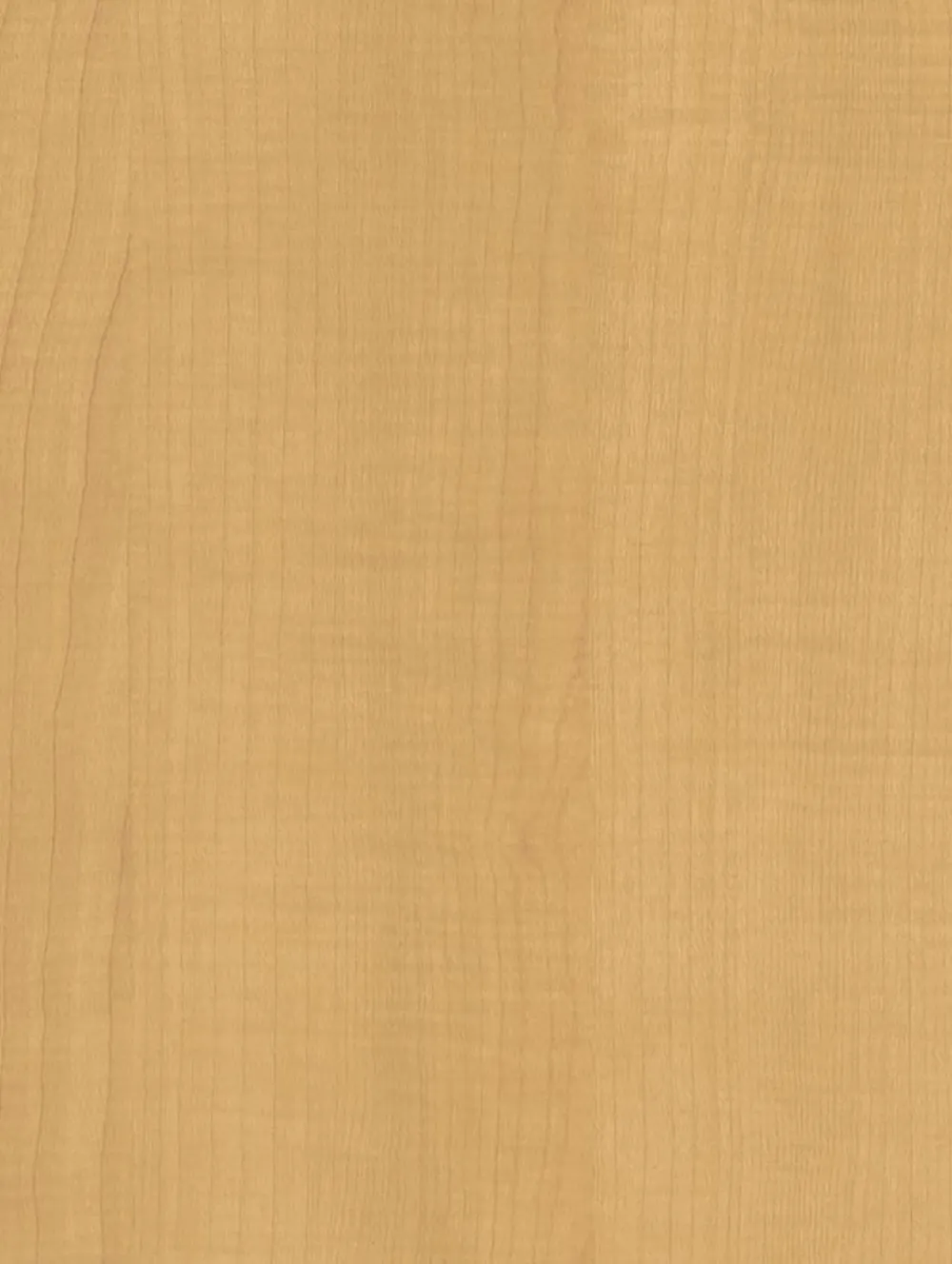 Beige Sycamore