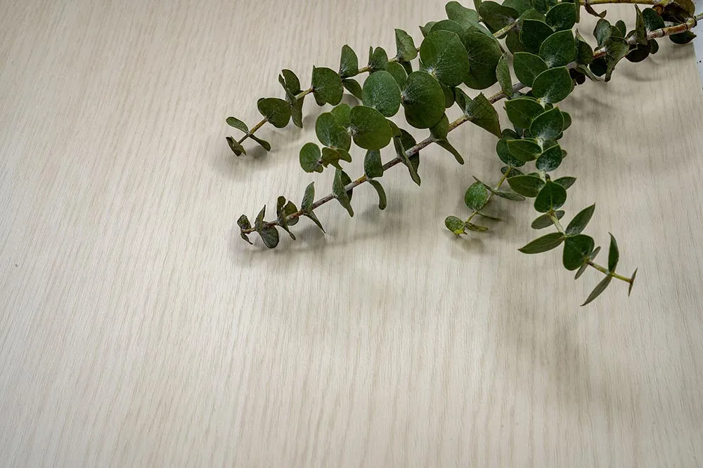 Pale Hazelwood - Photo 3