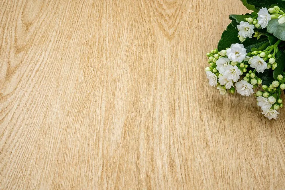 Biscuit Oak - Photo 3