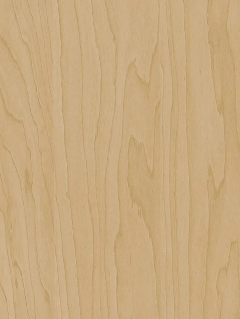 Gold Beige Birch