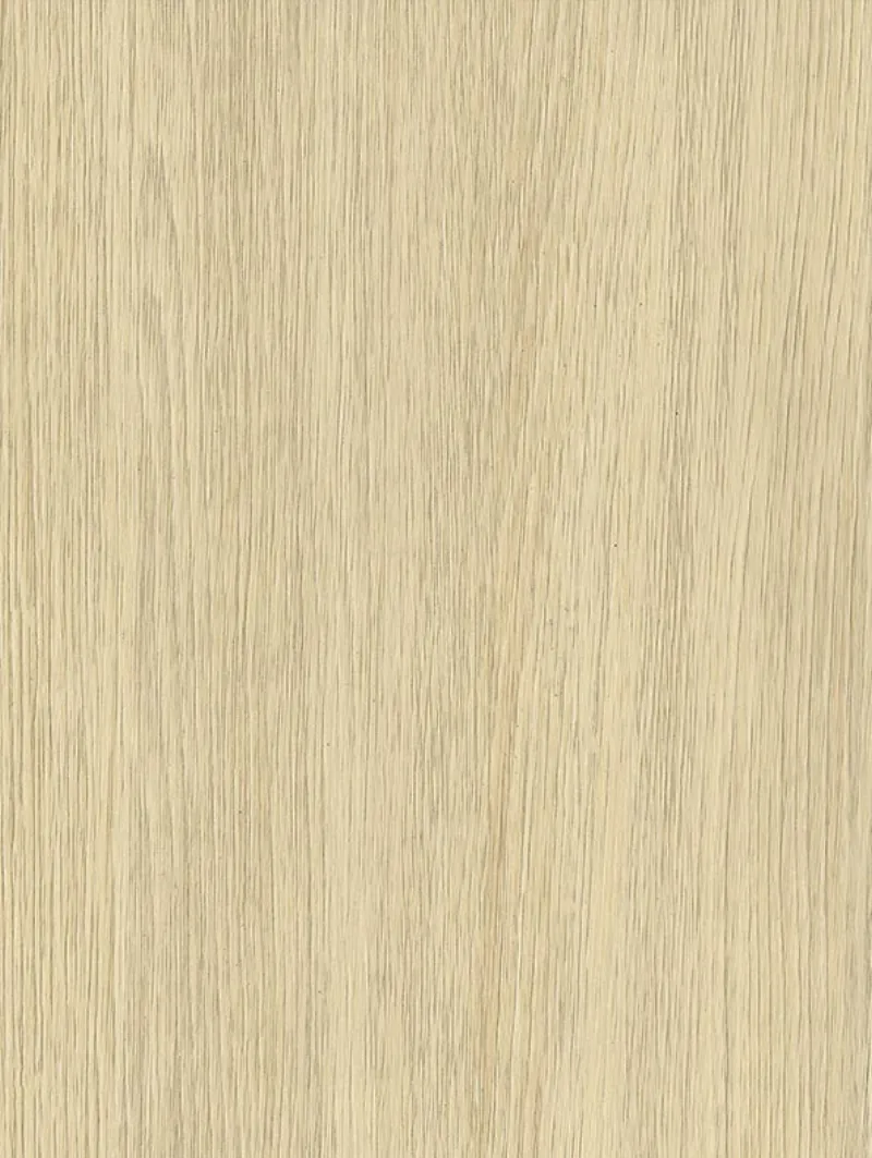 Ivory Oak